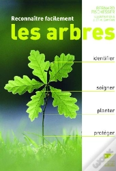 Reconnaître Facilement Les Arbres