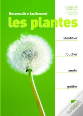 Reconnaître Facilement Les Plantes