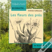 Reconnaître Les Fleurs Des Près