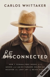 Capa do artigo Reconnected