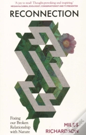 Capa do artigo Reconnection