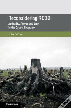 Capa do artigo Reconsidering Redd+