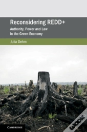 Reconsidering Redd+