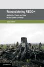 Reconsidering Redd+ - Preview