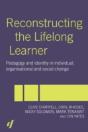 Reconstructing The Lifelong Learner - Preview