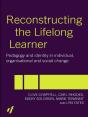 Reconstructing The Lifelong Learner - Preview