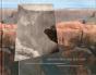 Reconstructing The View - Preview