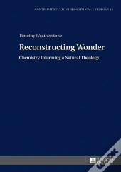 Reconstructing Wonder
