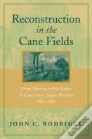 Reconstruction In The Cane Fields