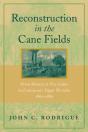 Reconstruction In The Cane Fields - Preview
