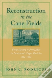 Capa do artigo Reconstruction In The Cane Fields