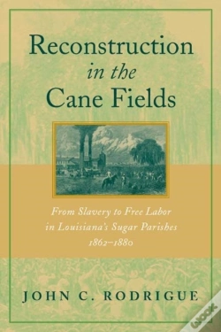 Capa do artigo Reconstruction In The Cane Fields