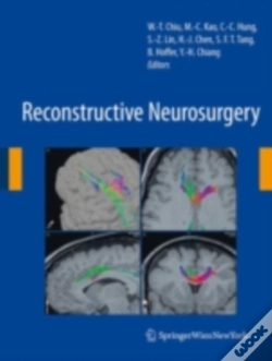 Capa do artigo Reconstructive Neurosurgery