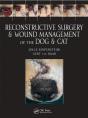 Reconstructive Surgery And Wound Management Of The Dog And Cat - Preview
