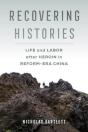 Recovering Histories - Preview