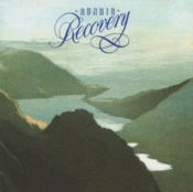 Capa do artigo Recovery - CD
