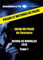 Recueil De Nouvelles 2020 - Preview