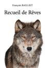 Recueil De Reves - Preview