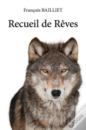 Recueil De Reves