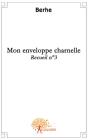 Recueil T.3 ; Mon Enveloppe Charnelle - Preview