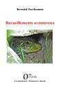 Recueillements Aventureux - Preview
