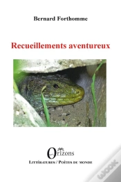 Capa do artigo Recueillements Aventureux