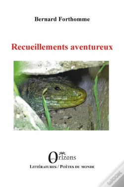 Capa do artigo Recueillements Aventureux
