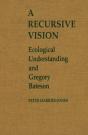 Recursive Vision - Preview