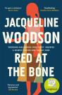 Red At The Bone - Preview