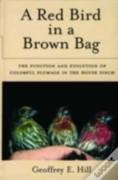 Red Bird In A Brown Bag