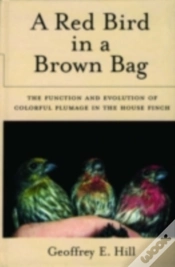 Capa do artigo Red Bird In A Brown Bag