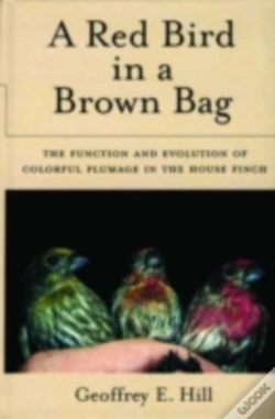 Capa do artigo Red Bird In A Brown Bag