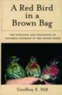 Red Bird In A Brown Bag - Preview