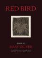 Red Bird - Preview