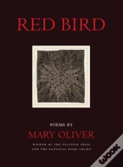 Capa do artigo Red Bird