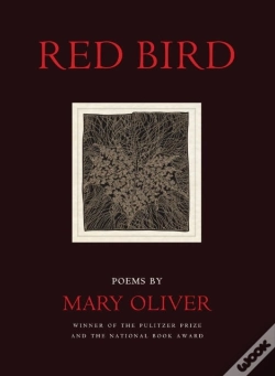 Capa do artigo Red Bird