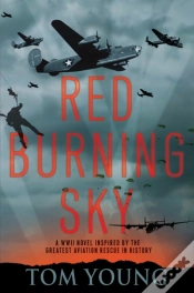 Capa do artigo Red Burning Sky