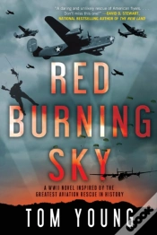 Capa do artigo Red Burning Sky