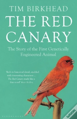 Capa do artigo Red Canary