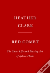 Capa do artigo Red Comet