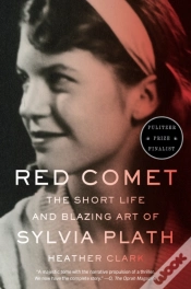 Capa do artigo Red Comet