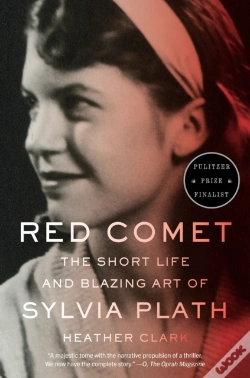 Capa do artigo Red Comet
