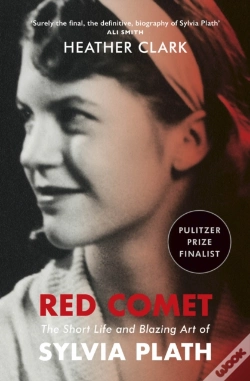 Capa do artigo Red Comet