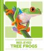Red-Eyed Tree Frogs - Preview