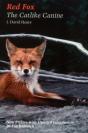 Red Fox - Preview