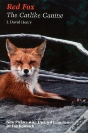 Capa do artigo Red Fox