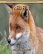 Red Fox - Preview