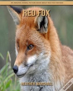 Capa do artigo Red Fox