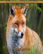 Red Fox - Preview