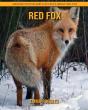Red Fox - Preview